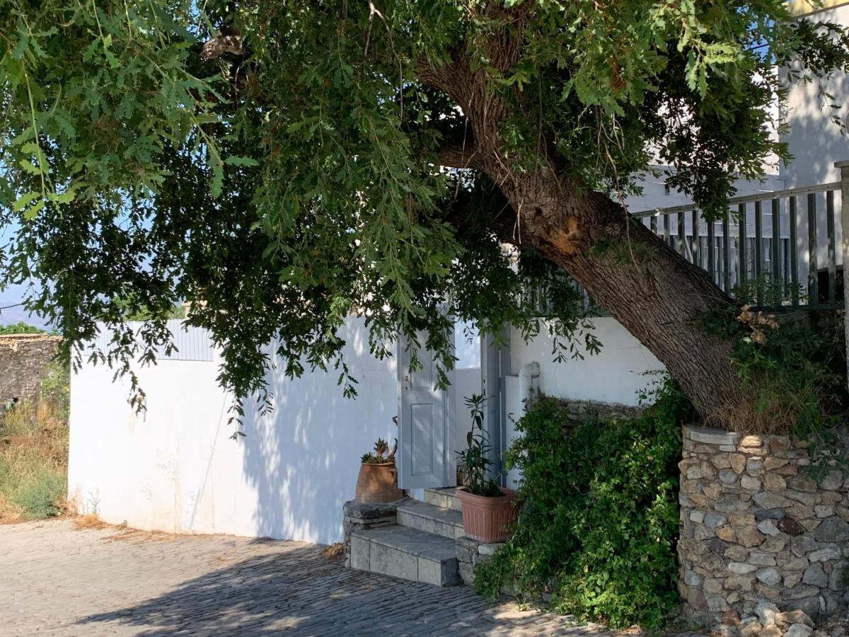 Moeses House Villa Aszfendiú Kültér fotó